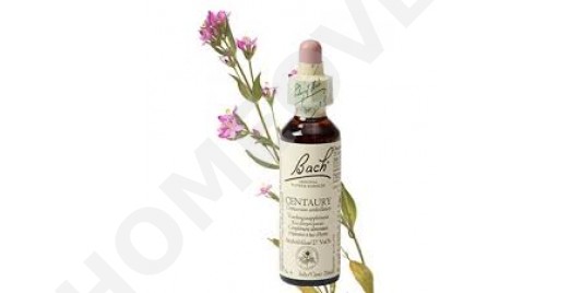 Bach bloesem remedies Bach bloesem remedies